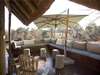 Thornybush Main Lodge - Lounge 